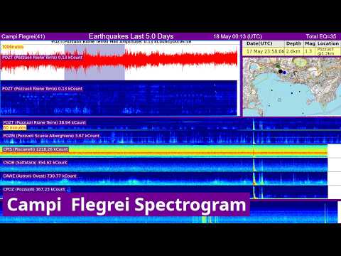 24/7 Campi Flegrei Seismograph Monitoring