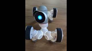 clicbot #clicbot #dog #petrobot #petrobotloverhard45