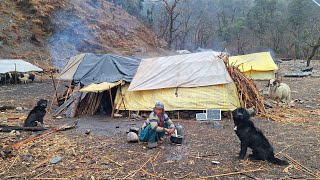 Nepali Mountain Village Life | Sheep Shepherd Life in Nepal | Organic Shepherd Food | RealNepaliLife