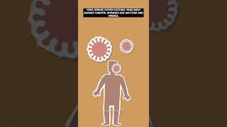 “How Does Your Immune System Work? | Quick Science Explained! 🛡️💪”#shorts