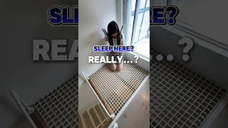 The whole house is a cat tower!? We discovered a designer cat-friendly house with a unique layout♪