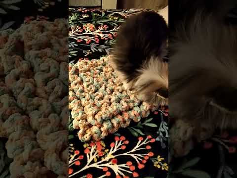 Snuffle Mat