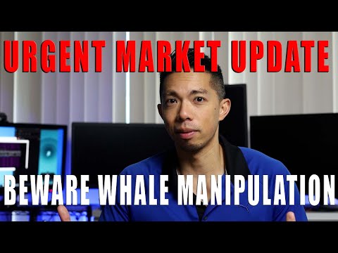 Important Market Update - Whale Manipulation and Emerging Veve Cycles