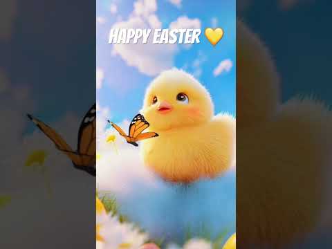 1 hour of Pure relaxation cute chick meadow and lofi music 🥰 #relaxingmusic #lofi #kawaii #easter