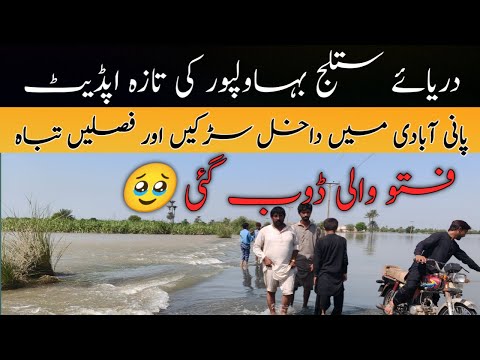 Breaking: Satluj River Update – Fatoo Wali, Bahawalpur Partially Flooded.#satlujriver #satluj#flood 
