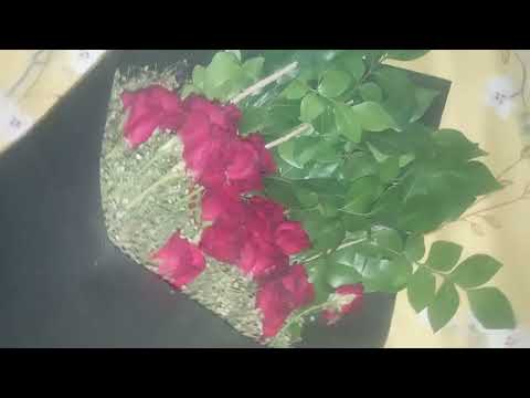 This is a flower, its color is red.