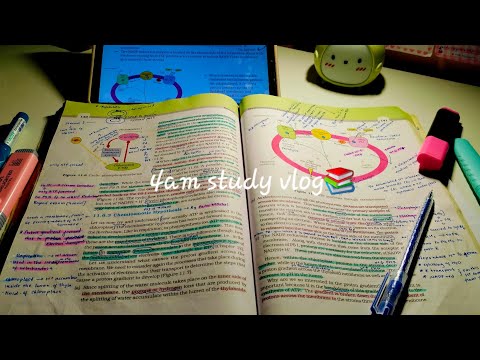 4:00am morning study routine 📚| neet 2026|shehala khalid❤️| #neet #studymotivation #studyvlog 