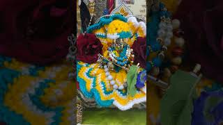 Krishna shorts #shorts #programerved #viralshorts #music #shyam