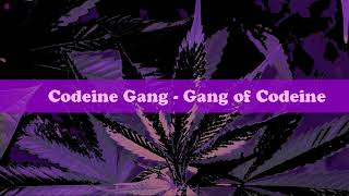 Codeine Gang - Gang of Codeine (Official Audio)