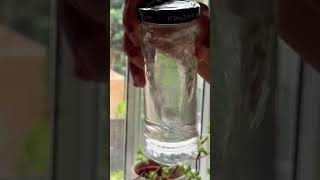 The Magic of Water Vortexing #water #peace #wellnessmusic #health #blessings