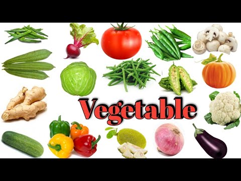 Vegetables name | vegetables name in english | #vegetables @TheLearningUniverse11