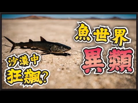 🐡魚世界的異類們，在沙漠狂飆的魚，喜欢钻海參菊花的魚，還有海底最強軟飯王，一生靠雌魚生存的魚！絕對不是你常見的清蒸魚#top10#魚類#海底世界#世界之最 #冷知识 #脑洞大开 #动物世界 #地球之最