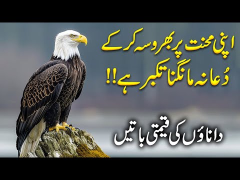 Quotes About Hard work | Struggle Quotes In Urdu | Life Changing Quotes | Zubair Maqsood Voice