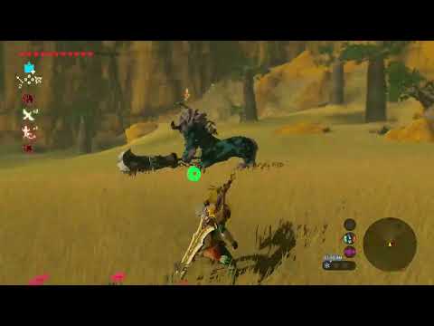 too late :\ [BOTW]