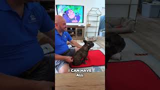 Attic Office Reveal: Our Workspace Transformation!