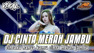 DJ CINTA MERAH JAMBU || YANG LAGI VIRALL BANGET DI TIKTOK || by r2 project official remix