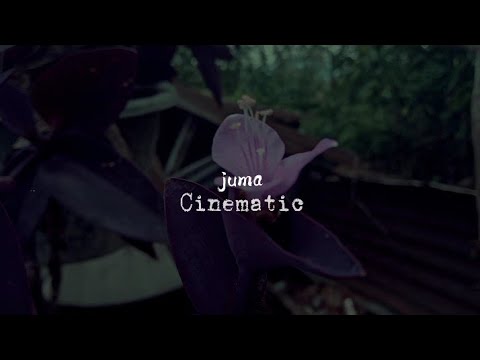 cinematic 30 detik ||lagu play date