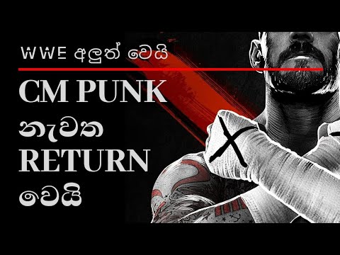 Cm punk /Upcoming WWE New Superstars