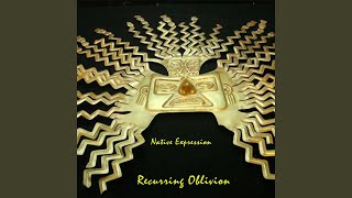 Native Expressions