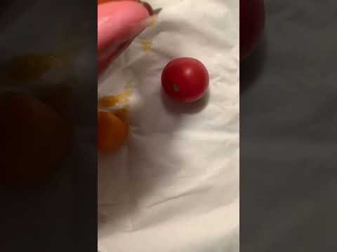 Behind the scenes ASMR fails - tomatoes 🥲