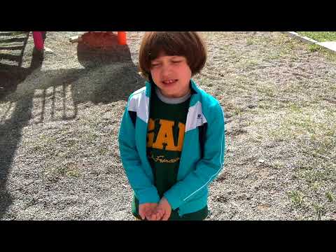 ÖMER EFE İLE PAMUĞUN MACERALARI