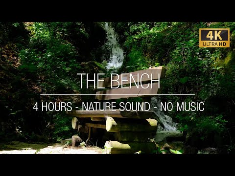 The Bench - Nature and Water Sounds - 4K - ASMR 🪑🌿💧