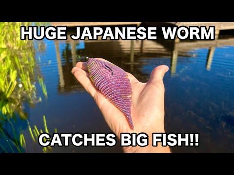I Caught The Biggest Fish In The Lake