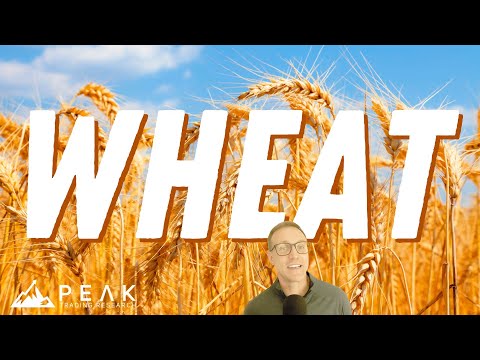 Kansas Wheat Dueling Momentum 🌾 📈 📉 | Strategy of the Month September 2024