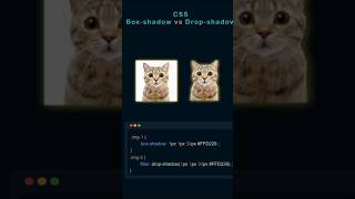 Box shadow vs Drop shadow #css #htmlcss #coding