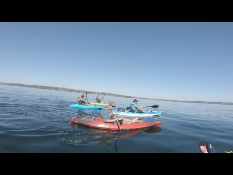 Medina Waterfront kayaking