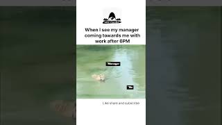 work after 6 | programmers life | #programmerlife #programmerslife #programmers  #memes #coderslife