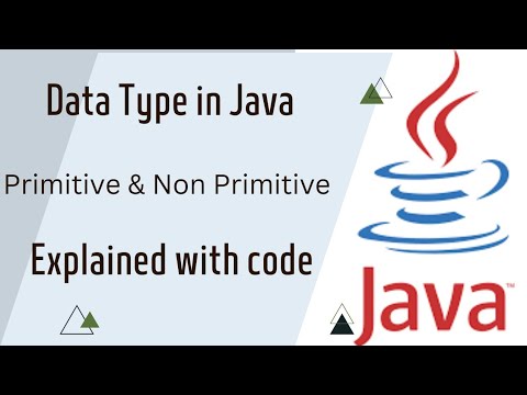 What are Data Types in Java ? Primitive and Non Primitive Data Type | Full Explanation