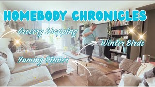 Homebody Chronicles | Grocery Shopping | Clean With Me | Winter Birds | Yummy Dinner 