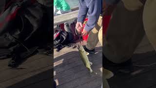 #fishingfun #reginabeach