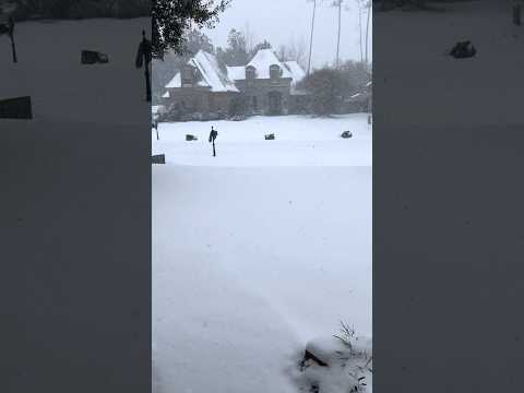 Snow Day In South Louisiana 2025 - Once in a Decade Experience!