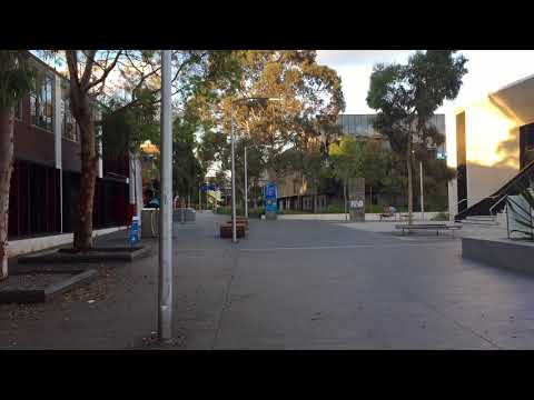 Gimbal Trial 101