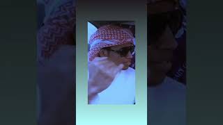 full speed | habeebi |new stone pelting video of kashmir 2022