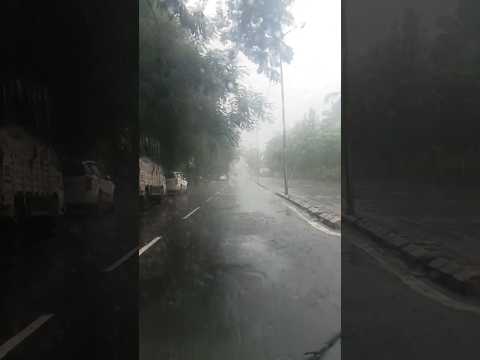 मुंबई की हाई अलर्ट बारिश मौसम बड़ा मस्त है यार मुंबई की बारिश महाराष्ट्र आज का मौसम #Mumbai