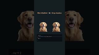 Box-Shadow vs Drop-Shadow in CSS Explained! 💡 | #shorts #coding
