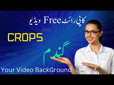 Beautiful Natural Scene copy Right Free Videos