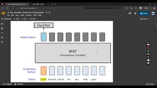 01. BERT and what is DistilBERT classifier