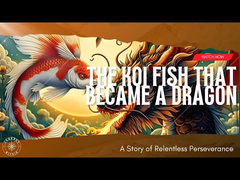 The Koi Fish That Became a Dragon – A Story of Relentless Perseverance