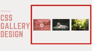 CSS Gallery Design