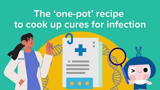 The stepping-stones to synthetic genomics | BGI Gene Test