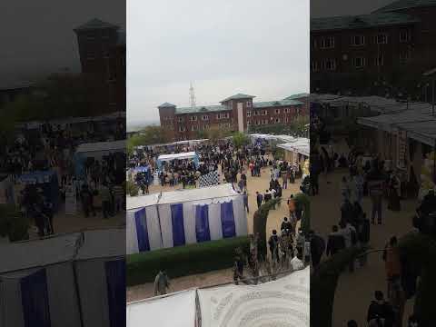 Fest at #iust on foundation day