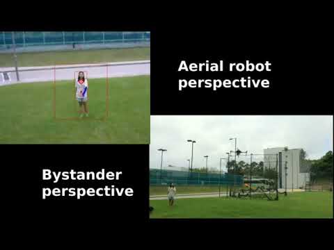 Gesture based Piloting of an Aerial Robot using Monocular Vision