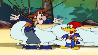 Who Will Win the Castaway Challenge? | Woody Woodpecker