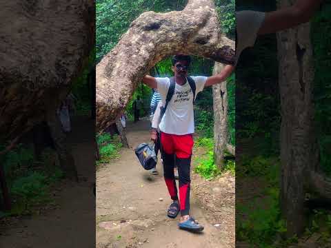 Thalakona Water Falls #love #covermusic #song #lifeisbutadream #Nature #waterfalls #Thirupati
