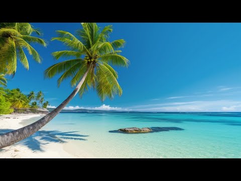 Tropical Beach Ambience with Beautiful Ocean | Relaxing Summer Vibe | Lobby Music & Background Video
