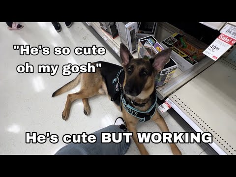 A kid tried to DISTRACT my SERVICE DOG